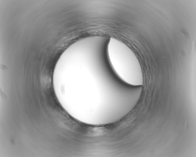X0000090950324200708021107