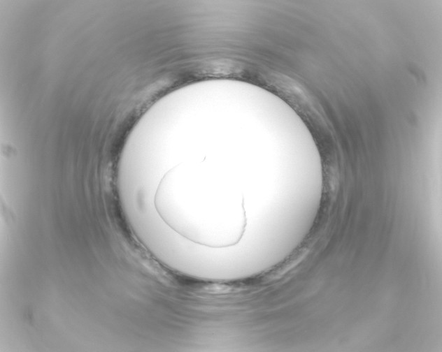 X0000090950326200708021106