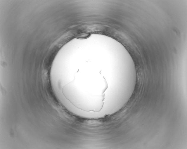 X0000090950327200708021106