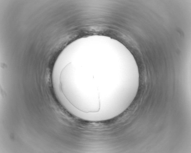X0000090950328200708021106