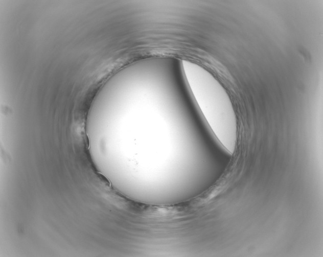 X0000090950329200708021106