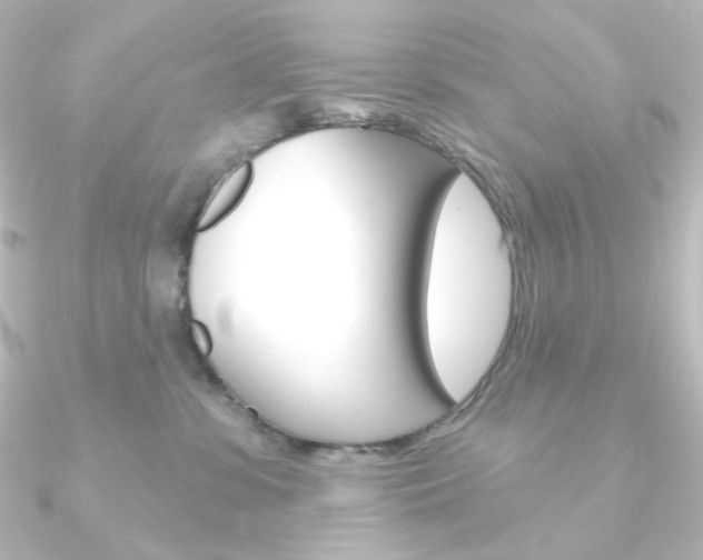 X0000090950331200708021106