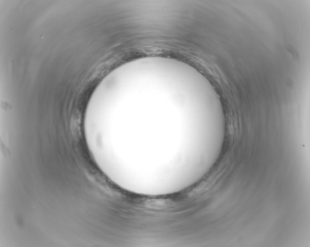 X0000090950332200708021106