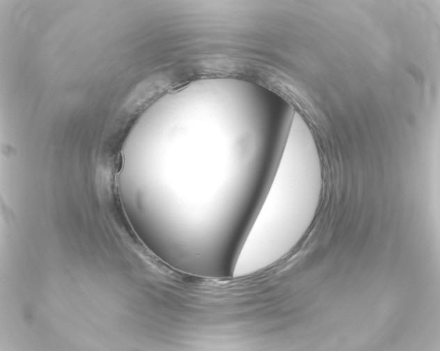 X0000090950333200708021106