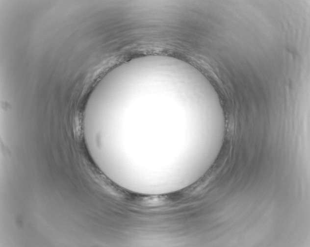 X0000090950335200708021106