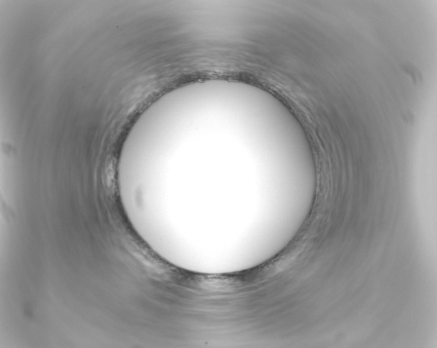 X0000090950336200708021106