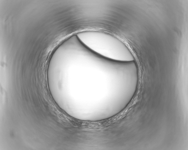 X0000090950337200708021106