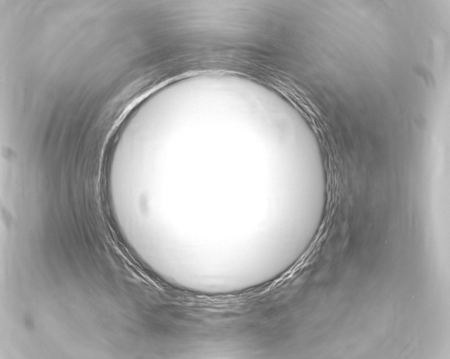 X0000090950338200708021106