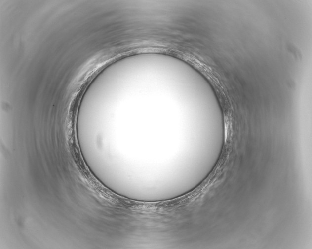 X0000090950339200708021106