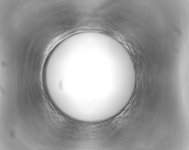 X0000090950340200708021106