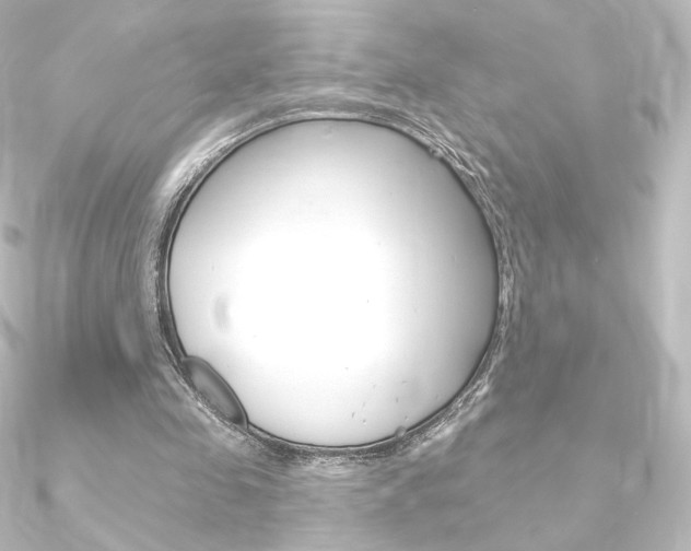X0000090950341200708021106