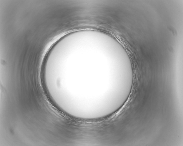 X0000090950342200708021106