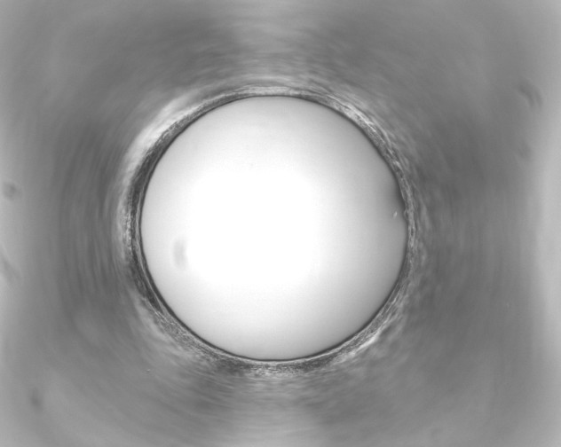 X0000090950343200708021106