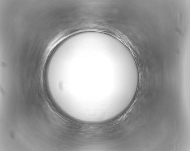 X0000090950344200708021106