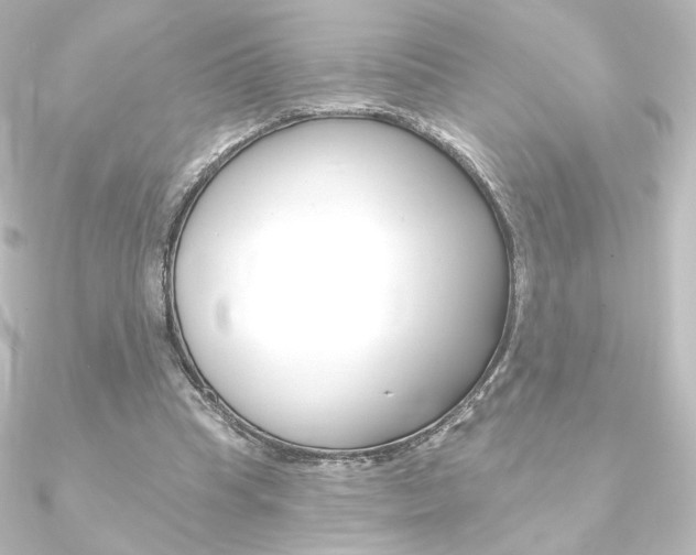 X0000090950345200708021106