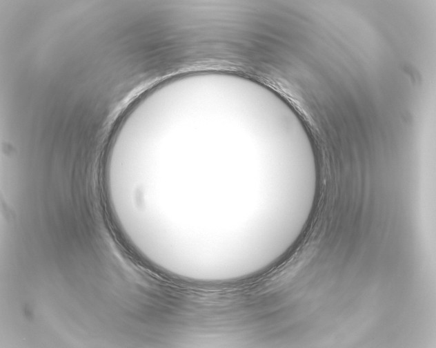 X0000090950348200708021106