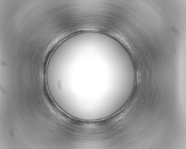 X0000090950349200708021106