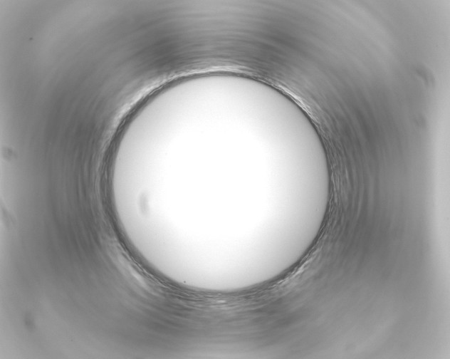 X0000090950350200708021106