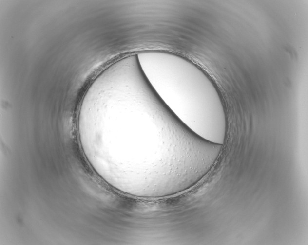 X0000090950351200708021106