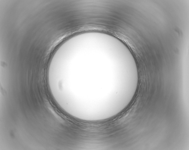 X0000090950352200708021106