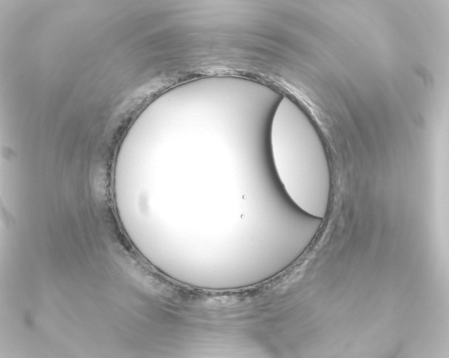 X0000090950353200708021106