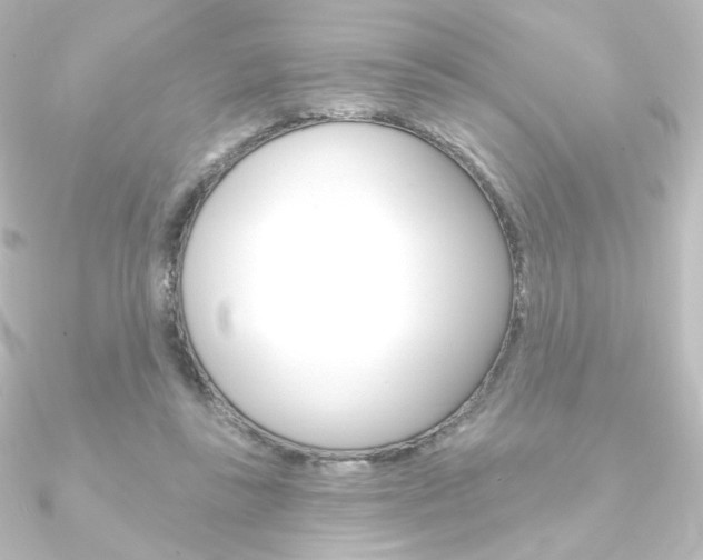 X0000090950355200708021106