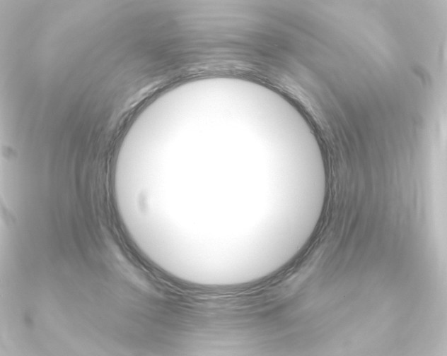 X0000090950356200708021106
