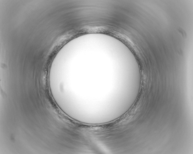 X0000090950357200708021106