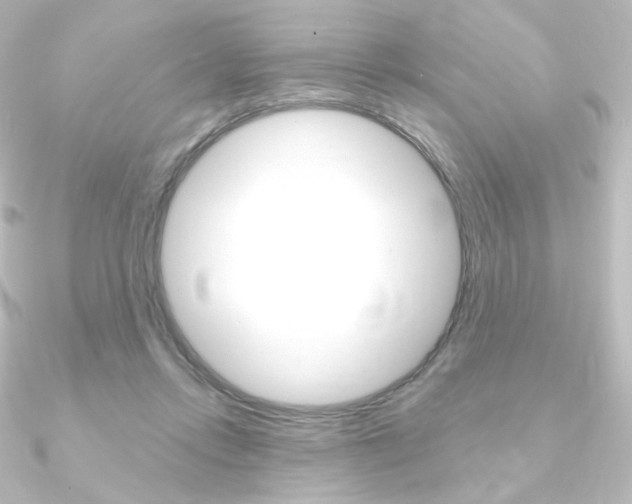 X0000090950358200708021106