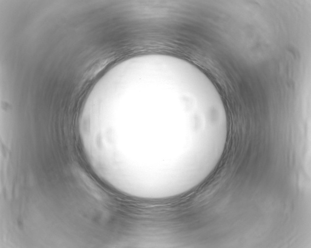 X0000090950360200708021106
