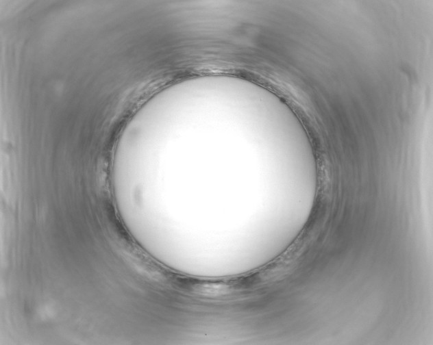 X0000090950361200708021106