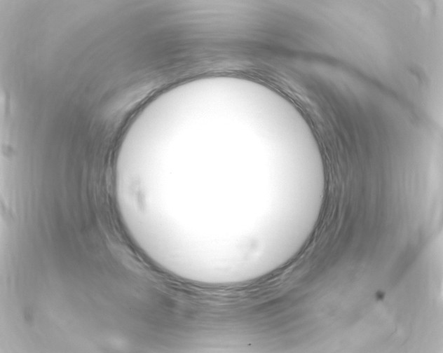X0000090950362200708021106