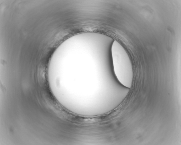 X0000090950363200708021106