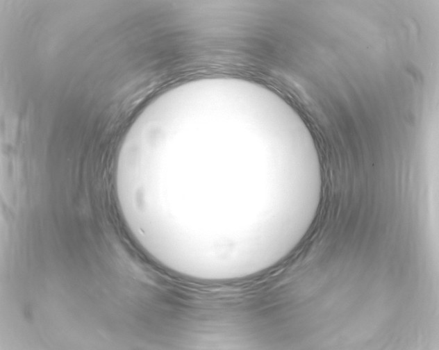 X0000090950364200708021106