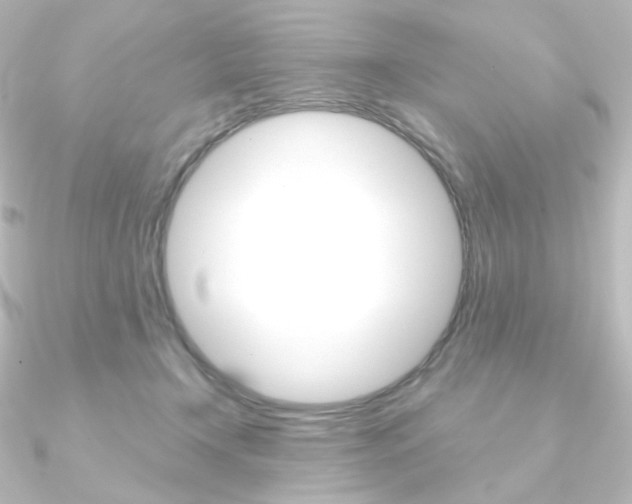 X0000090950366200708021106