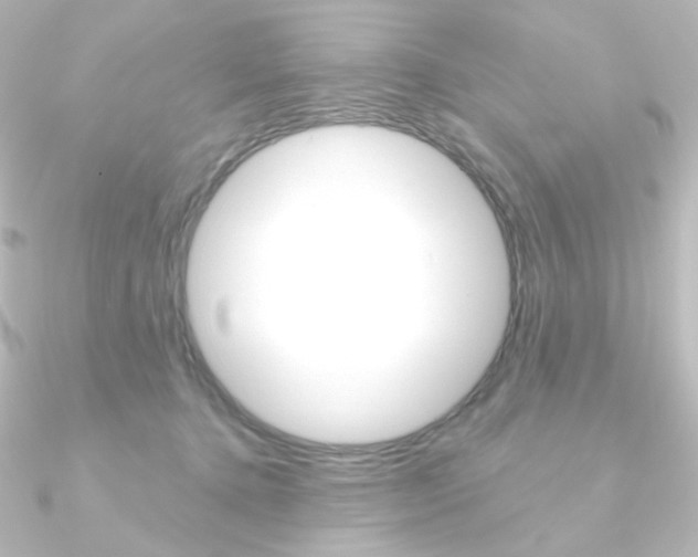 X0000090950368200708021106