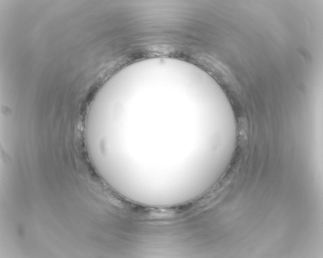 X0000090950369200708021106