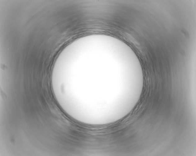 X0000090950370200708021106