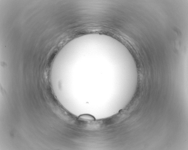 X0000090950373200708021106