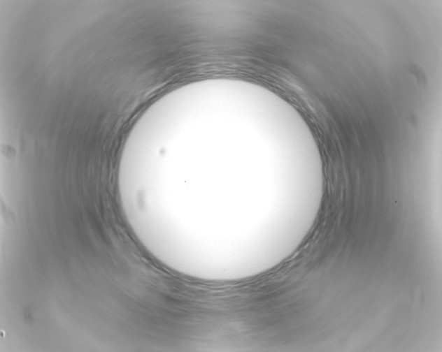X0000090950374200708021106