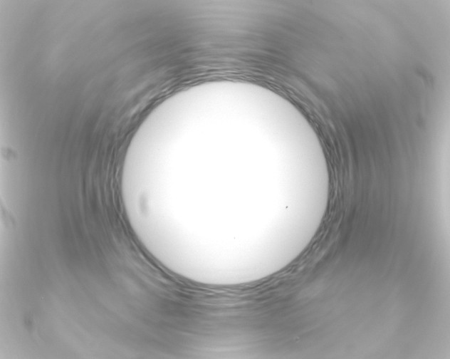 X0000090950376200708021106