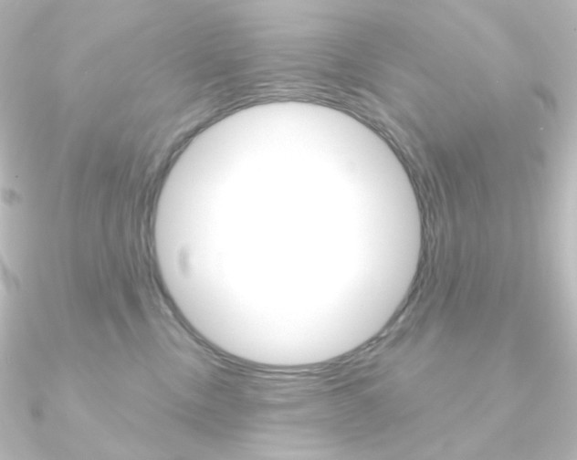 X0000090950378200708021106