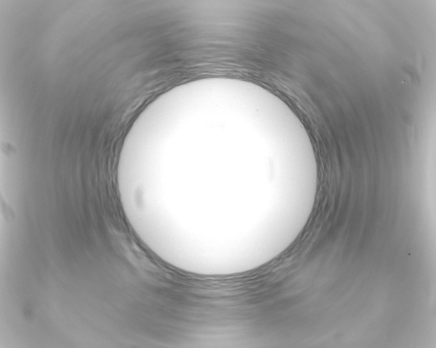 X0000090950380200708021106