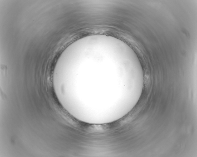 X0000090950381200708021106
