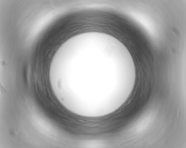 X0000090950382200708021106