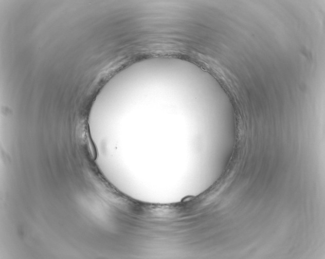 X0000090950383200708021106