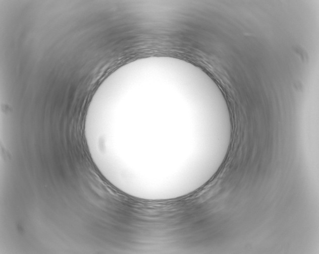 X0000090950384200708021106