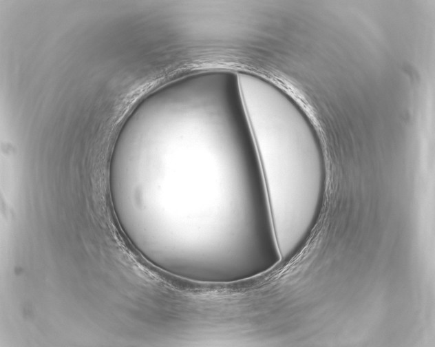 X0000090950385200708021106