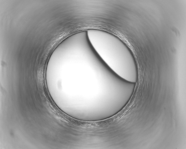 X0000090950386200708021106