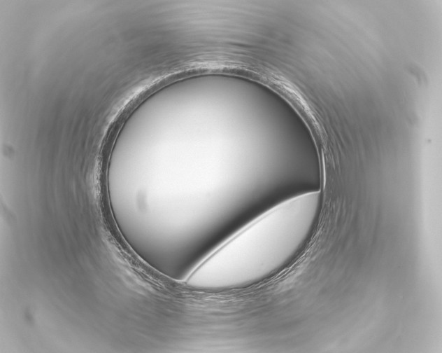 X0000090950387200708021106